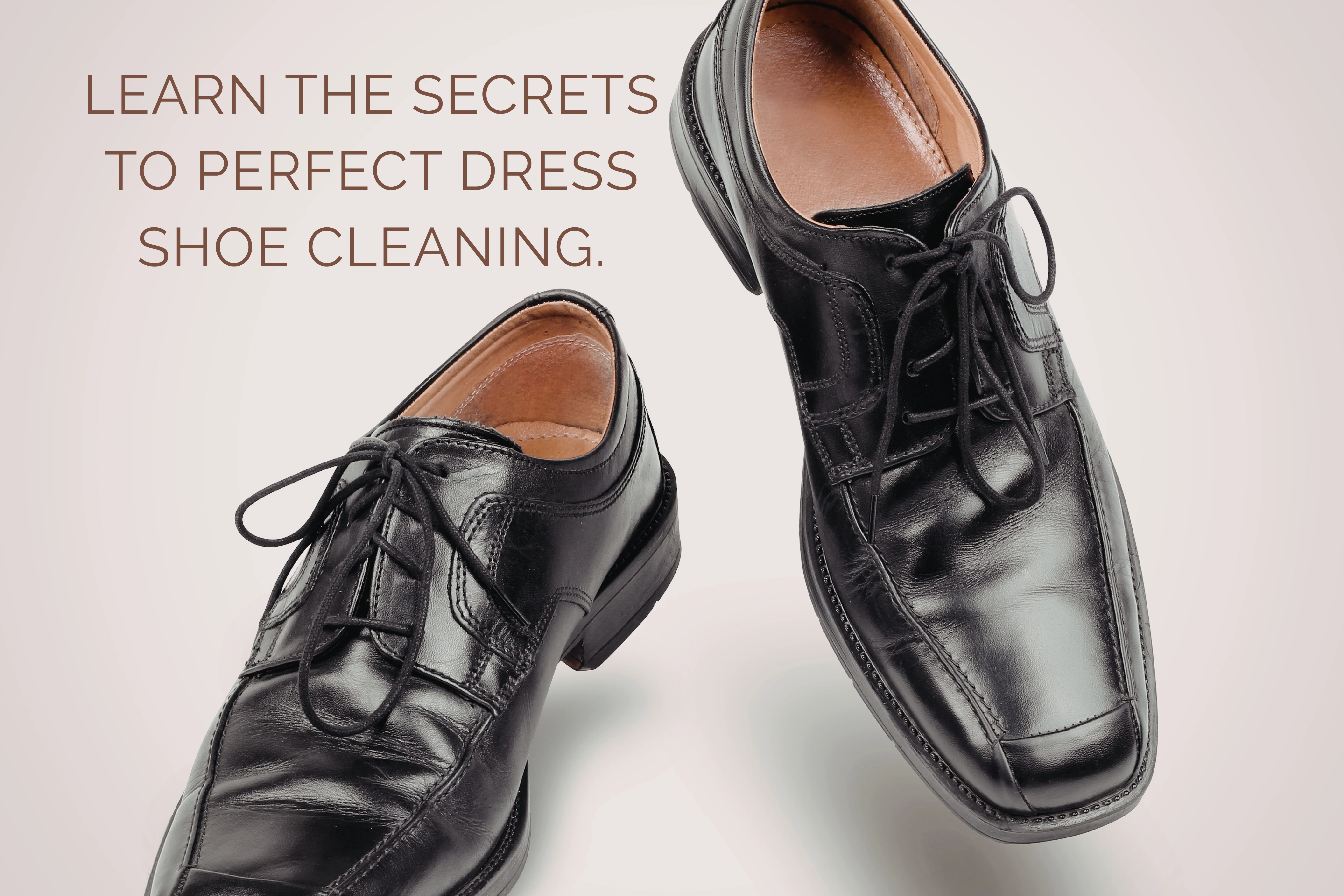Master the Art of Shine